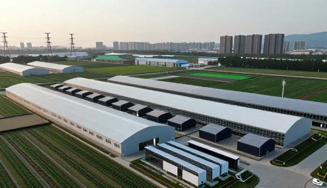 市政活动品牌策划中的趋势预测与适用条件分析